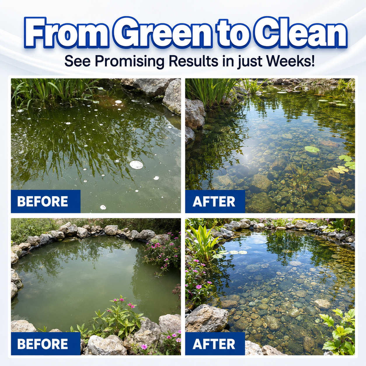 ✨ From Green to Clean Overnight! |⏱️ Crystal Clear in 24 Hours! | TIMNAMY® Aqua-Guardian Pro Formula