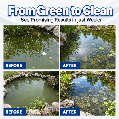 ✨ From Green to Clean Overnight! |⏱️ Crystal Clear in 24 Hours! | TIMNAMY® Aqua-Guardian Pro Formula