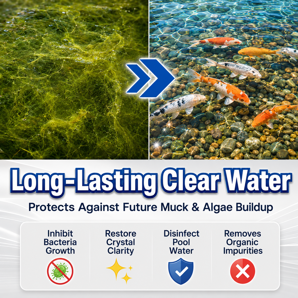 ✨ From Green to Clean Overnight! |⏱️ Crystal Clear in 24 Hours! | TIMNAMY® Aqua-Guardian Pro Formula